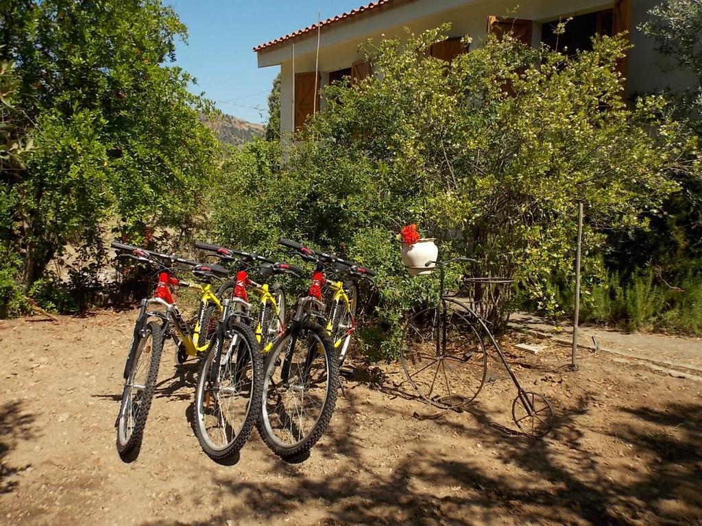 B&B Sette Fratelli San Gregorio  Bagian luar foto